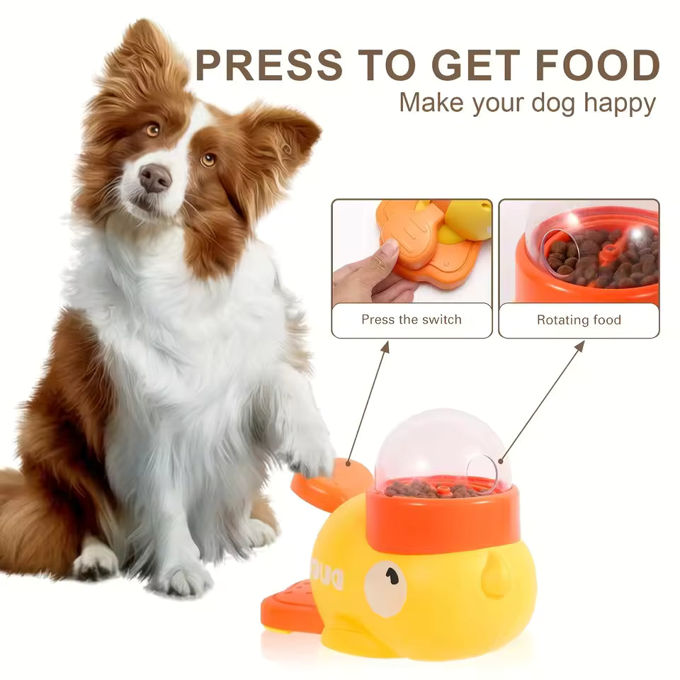 ✨ 2025 New Products on the Shelves Automatic Feeder 🤖
