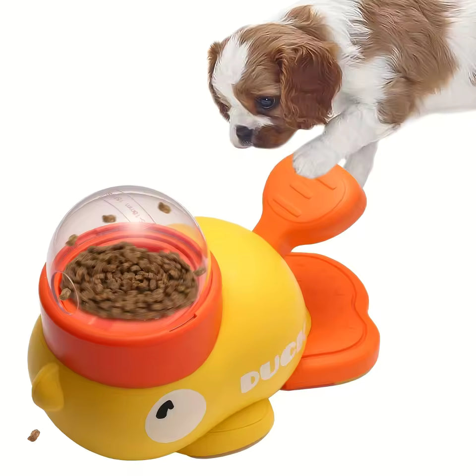 ✨ 2025 New Products on the Shelves Automatic Feeder 🤖