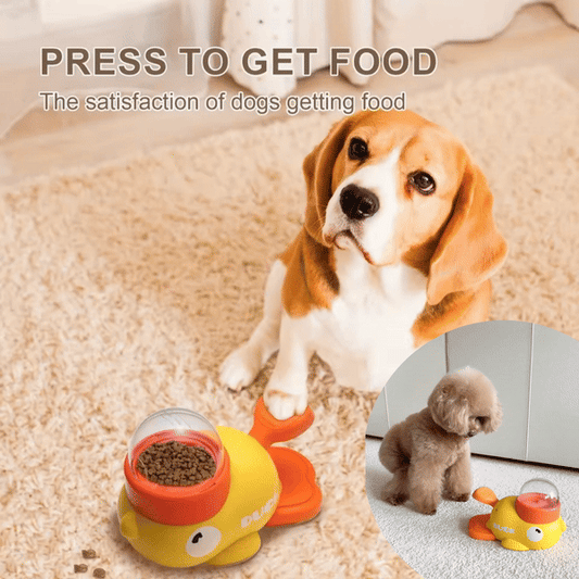 ✨ 2025 New Products on the Shelves Automatic Feeder 🤖